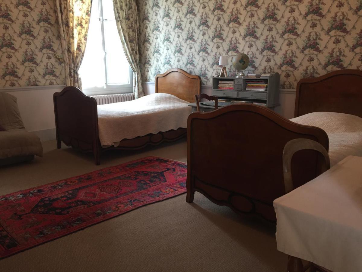 ชาโต เดอ แป็งแทร Bed & Breakfast Lussault-sur-Loire ภายนอก รูปภาพ