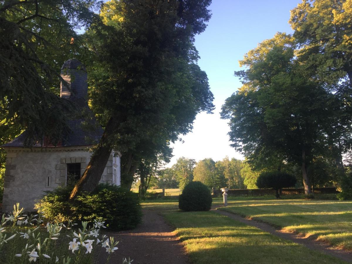 ชาโต เดอ แป็งแทร Bed & Breakfast Lussault-sur-Loire ภายนอก รูปภาพ