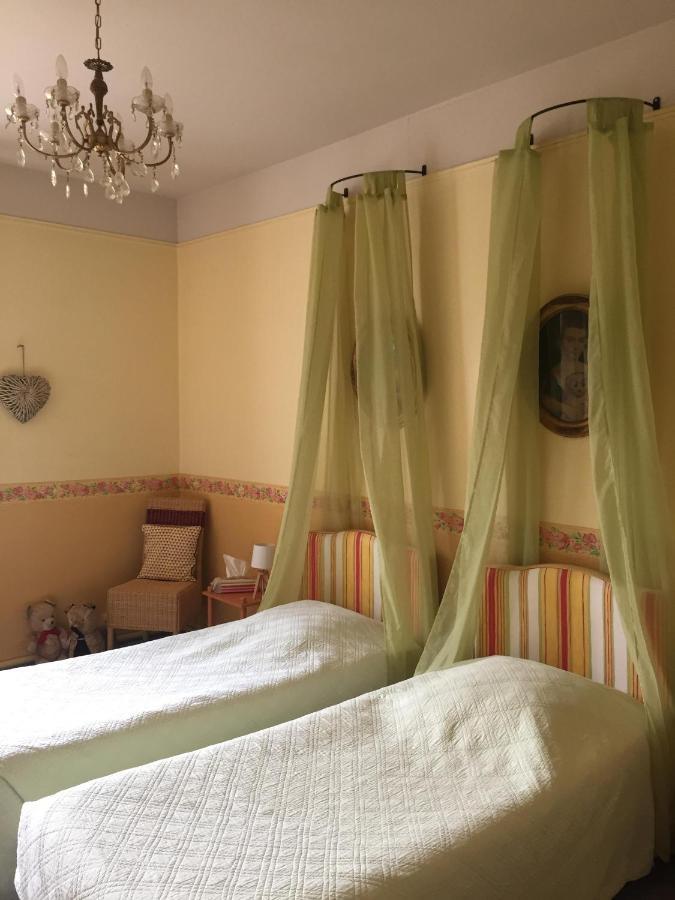 ชาโต เดอ แป็งแทร Bed & Breakfast Lussault-sur-Loire ห้อง รูปภาพ