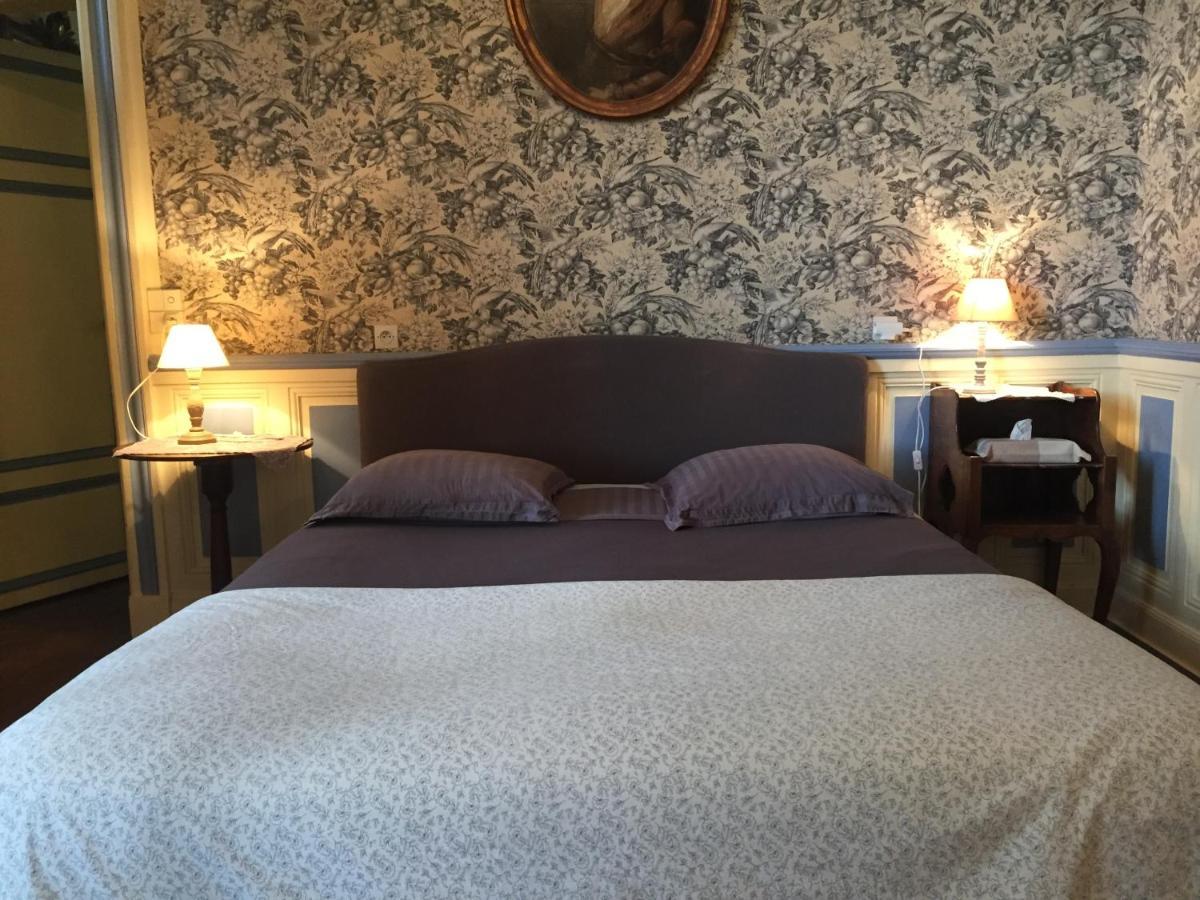 ชาโต เดอ แป็งแทร Bed & Breakfast Lussault-sur-Loire ภายนอก รูปภาพ