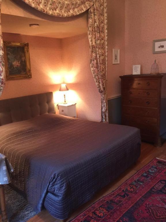 ชาโต เดอ แป็งแทร Bed & Breakfast Lussault-sur-Loire ห้อง รูปภาพ