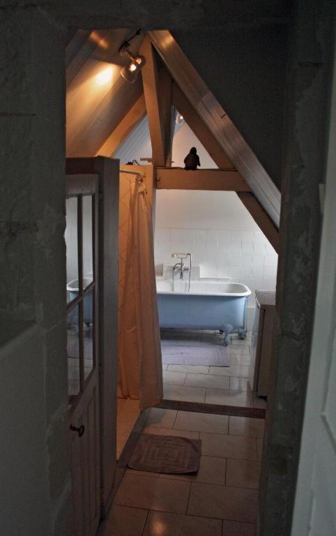 ชาโต เดอ แป็งแทร Bed & Breakfast Lussault-sur-Loire ห้อง รูปภาพ