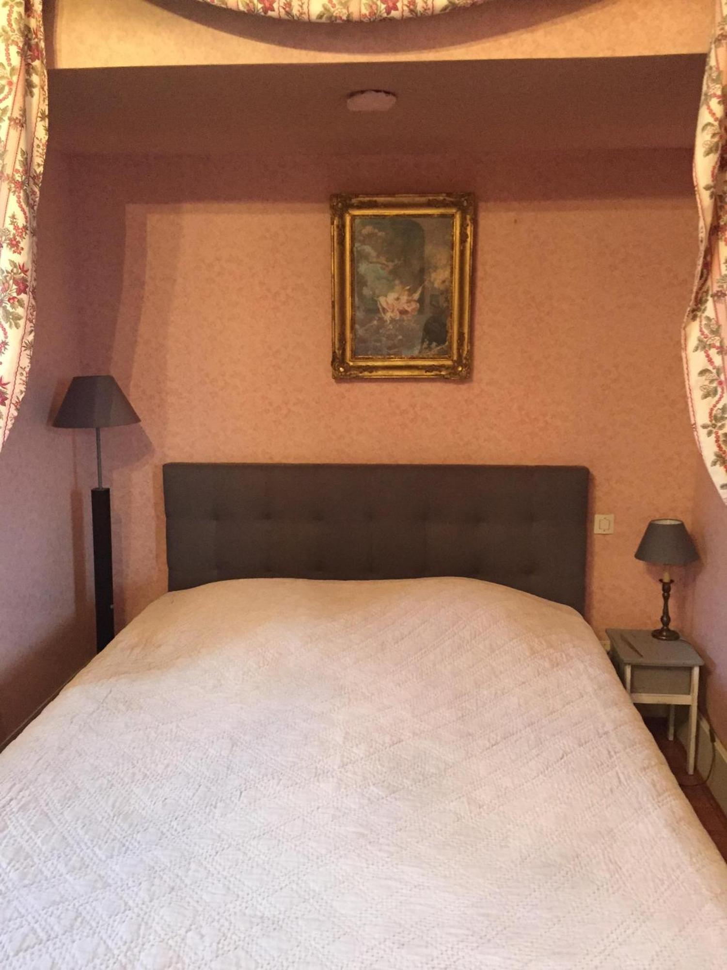 ชาโต เดอ แป็งแทร Bed & Breakfast Lussault-sur-Loire ห้อง รูปภาพ